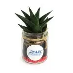 Une plante avec votre nom